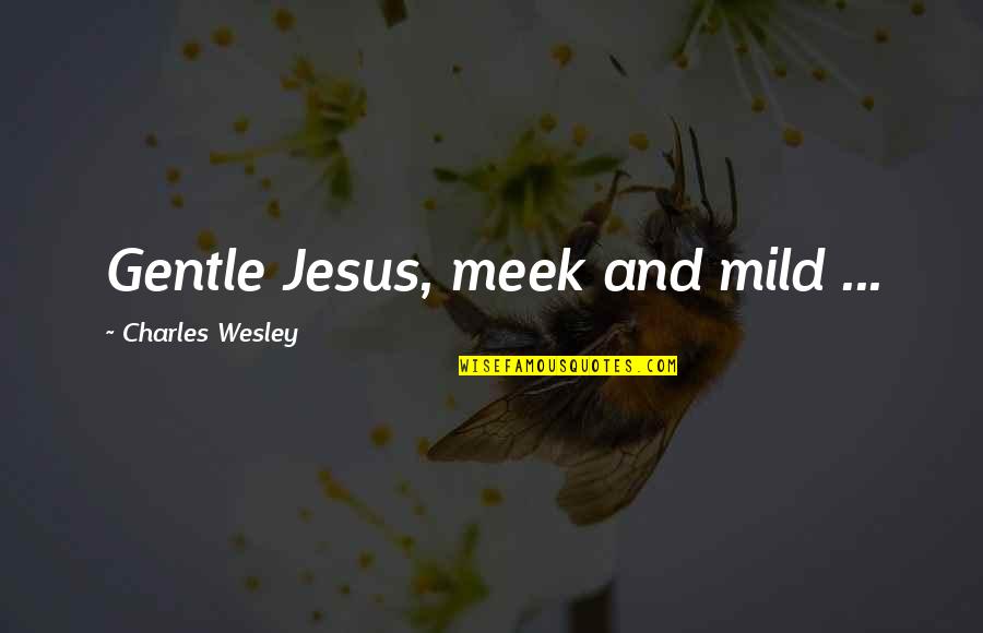 Cyber Terrorism Laws Quotes By Charles Wesley: Gentle Jesus, meek and mild ...