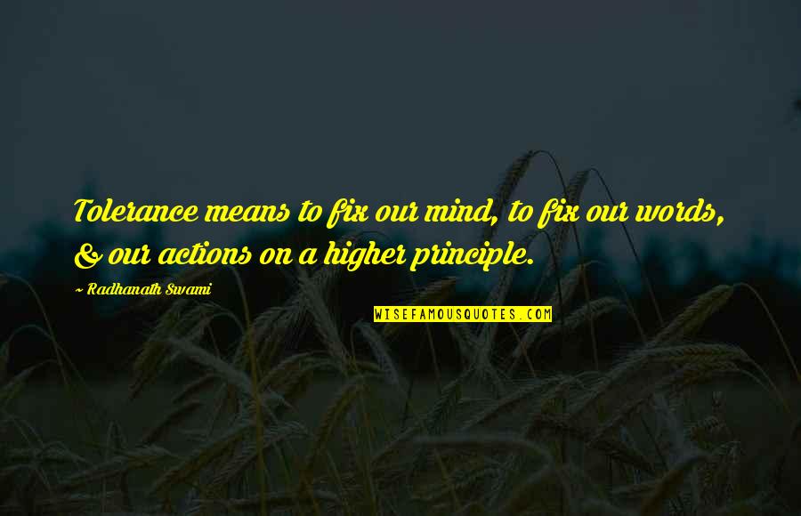 Cybermen Quotes By Radhanath Swami: Tolerance means to fix our mind, to fix Cybermen Quotes By Radhanath Swami: Tolerance means to fix our mind, to fix