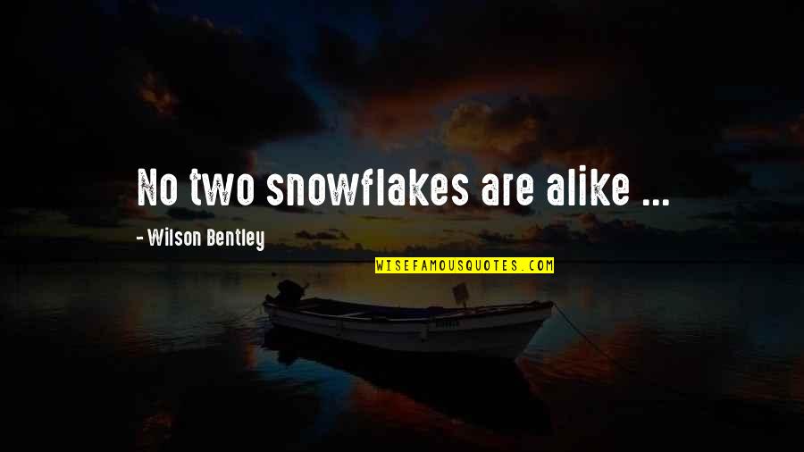 Cyberpunk 2020 Quotes By Wilson Bentley: No two snowflakes are alike ...