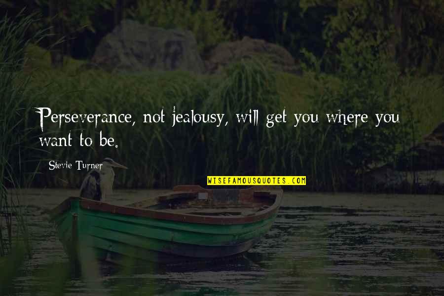 Cybulski Community Quotes By Stevie Turner: Perseverance, not jealousy, will get you where you