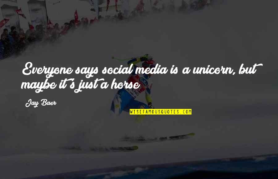 Cyclades Board Quotes By Jay Baer: Everyone says social media is a unicorn, but