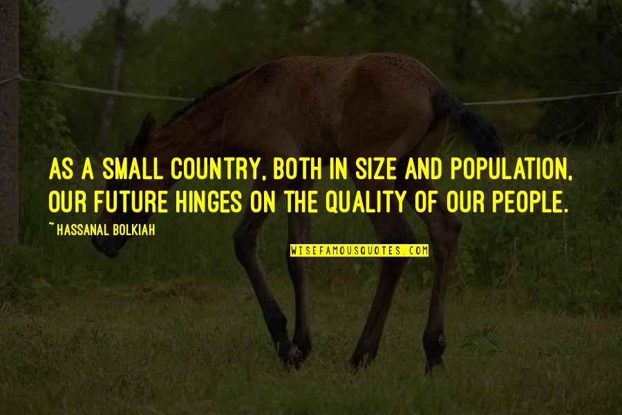 Cycle Of Poverty Quotes By Hassanal Bolkiah: As a small country, both in size and