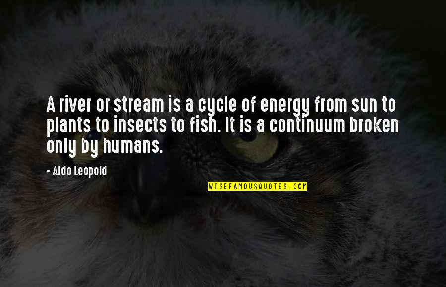 Cycle Quotes By Aldo Leopold: A river or stream is a cycle of
