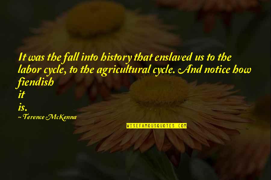 Cycle Quotes By Terence McKenna: It was the fall into history that enslaved