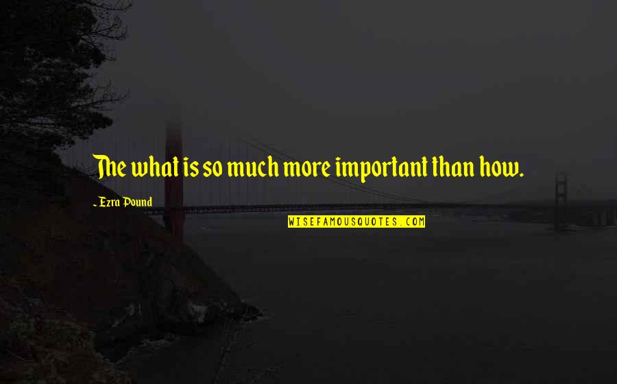 Cycling After Long Time Quotes By Ezra Pound: The what is so much more important than
