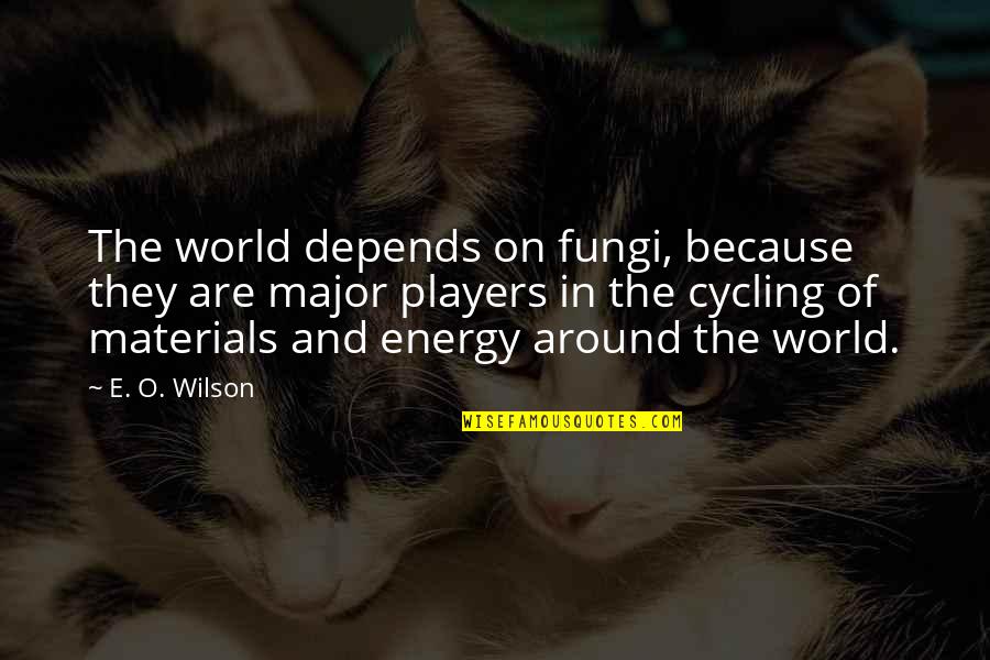 Cycling's Quotes By E. O. Wilson: The world depends on fungi, because they are