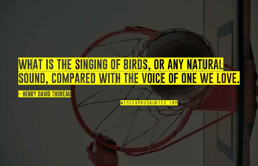 Cycloon Fietskoeriers Quotes By Henry David Thoreau: What is the singing of birds, or any Cycloon Fietskoeriers Quotes By Henry David Thoreau: What is the singing of birds, or any