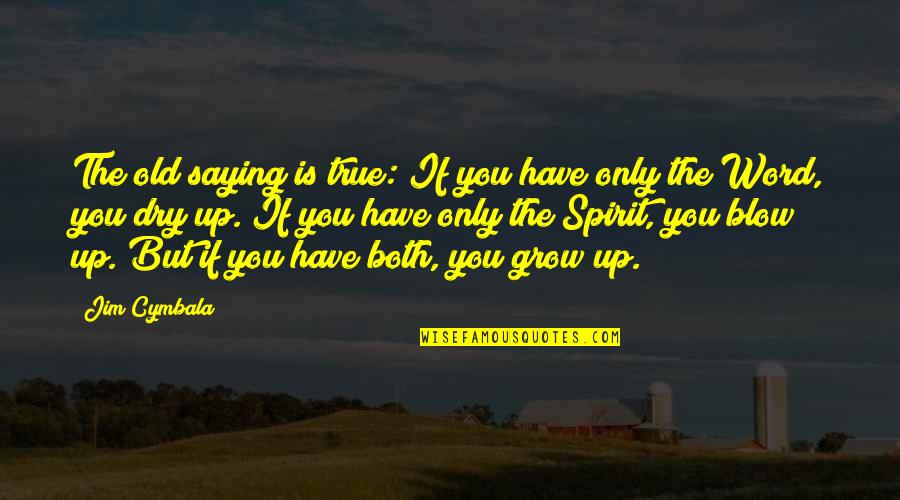 Cymbala Quotes By Jim Cymbala: The old saying is true: If you have