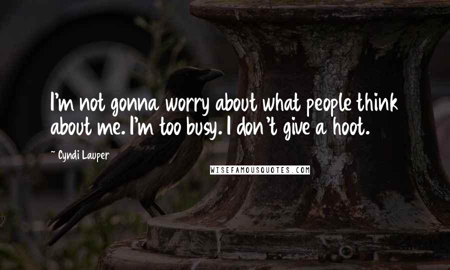 Cyndi Lauper quotes: I'm not gonna worry about what people think about me. I'm too busy. I don't give a hoot.