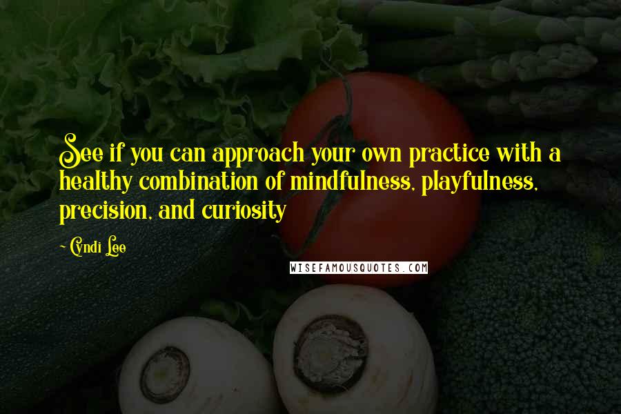 Cyndi Lee quotes: See if you can approach your own practice with a healthy combination of mindfulness, playfulness, precision, and curiosity