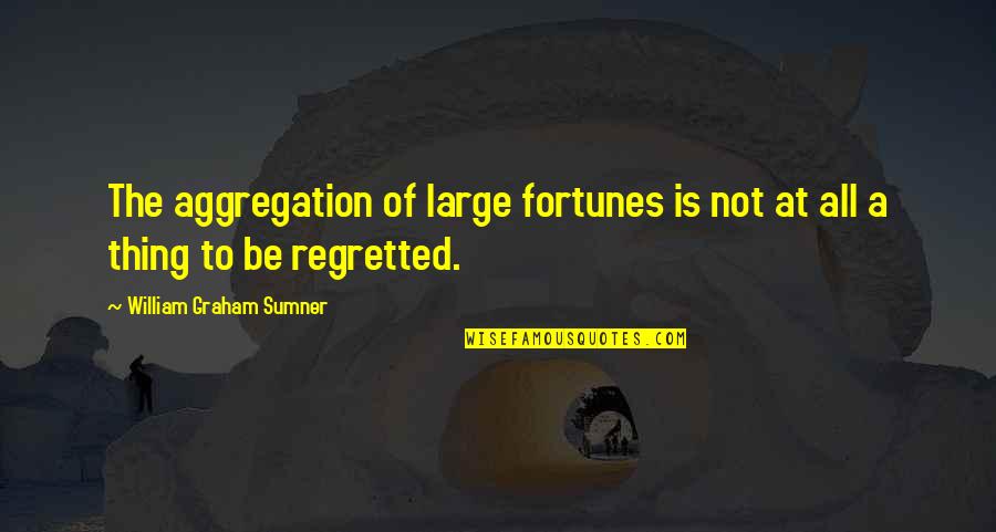 Cyndy Allen Quotes By William Graham Sumner: The aggregation of large fortunes is not at