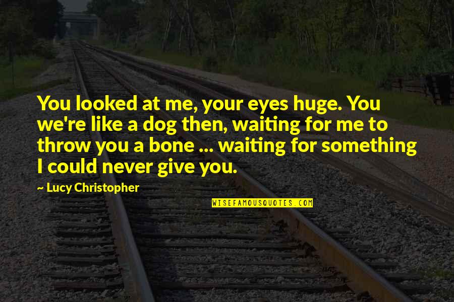 Cynnical Quotes By Lucy Christopher: You looked at me, your eyes huge. You