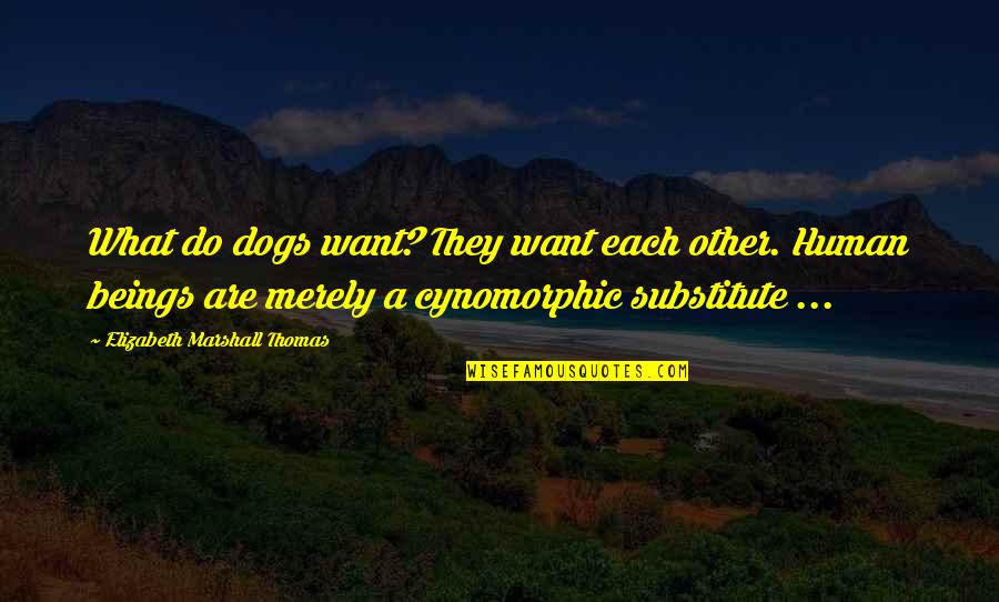 Cynomorphic Quotes By Elizabeth Marshall Thomas: What do dogs want? They want each other.