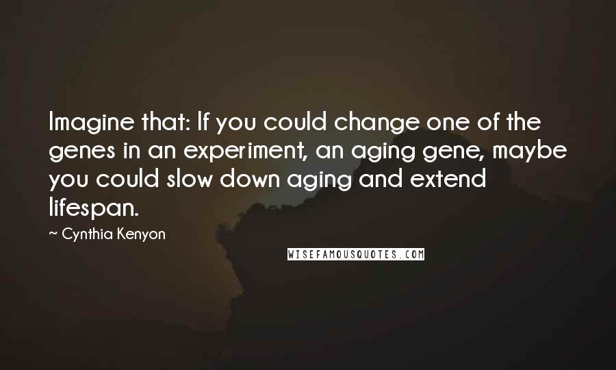 Cynthia Kenyon quotes: Imagine that: If you could change one of the genes in an experiment, an aging gene, maybe you could slow down aging and extend lifespan.