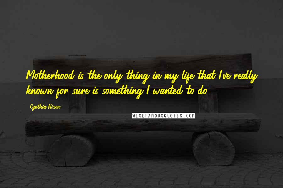 Cynthia Nixon quotes: Motherhood is the only thing in my life that I've really known for sure is something I wanted to do.
