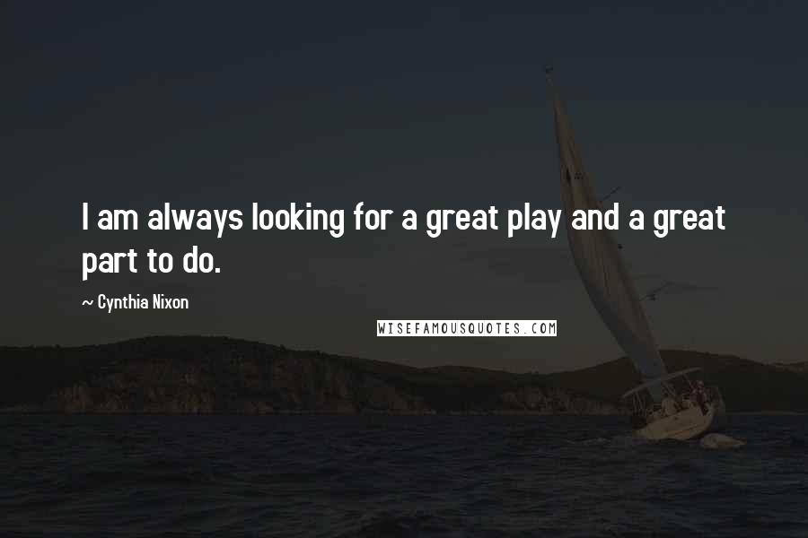 Cynthia Nixon quotes: I am always looking for a great play and a great part to do.