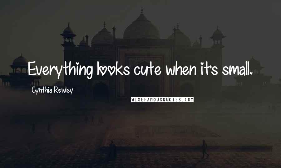 Cynthia Rowley quotes: Everything looks cute when it's small.