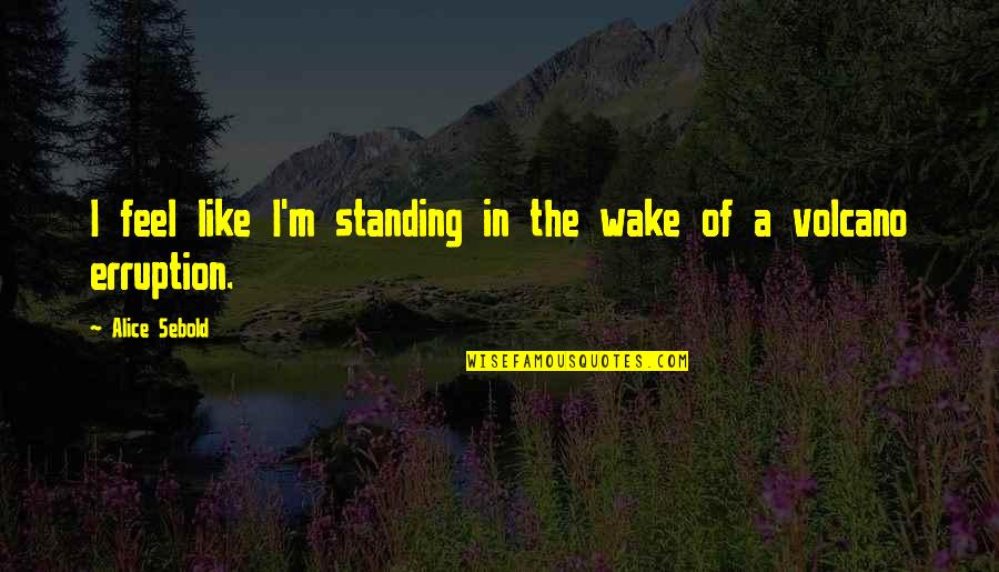 Cypher Ult Quotes By Alice Sebold: I feel like I'm standing in the wake Cypher Ult Quotes By Alice Sebold: I feel like I'm standing in the wake