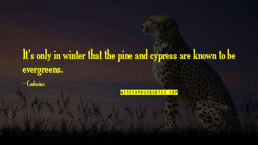 Cypresses Quotes By Confucius: It's only in winter that the pine and