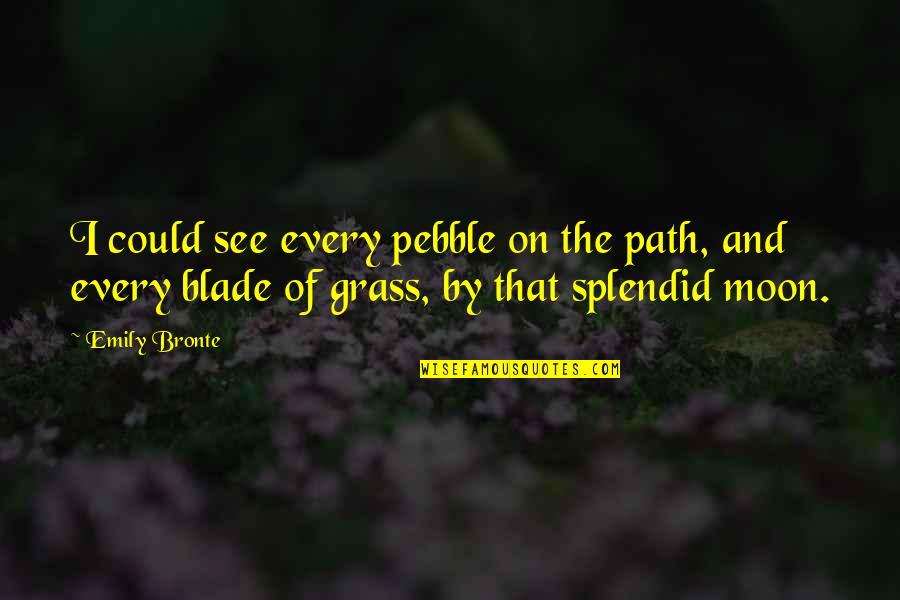 Cyril Smith Quotes By Emily Bronte: I could see every pebble on the path,