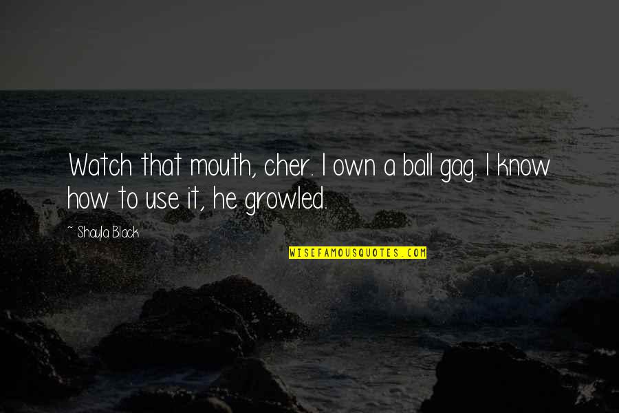 Cyrilla Strothers Quotes By Shayla Black: Watch that mouth, cher. I own a ball