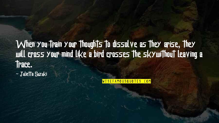 Cystogram Quotes By Julietta Suzuki: When you train your thoughts to dissolve as