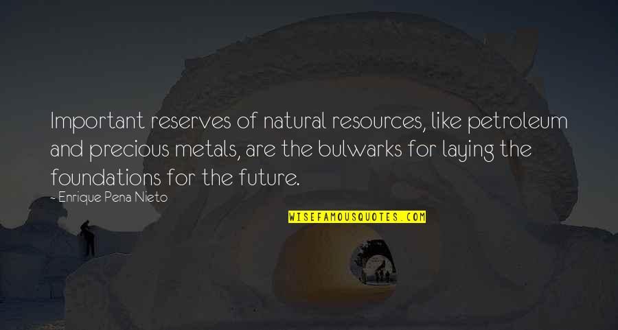 Czarinas Lessons Quotes By Enrique Pena Nieto: Important reserves of natural resources, like petroleum and
