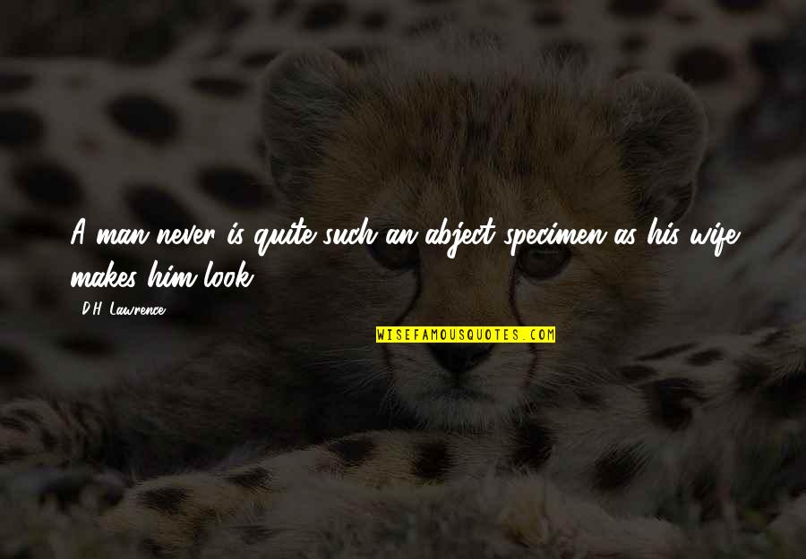 Czekolady Zotter Quotes By D.H. Lawrence: A man never is quite such an abject