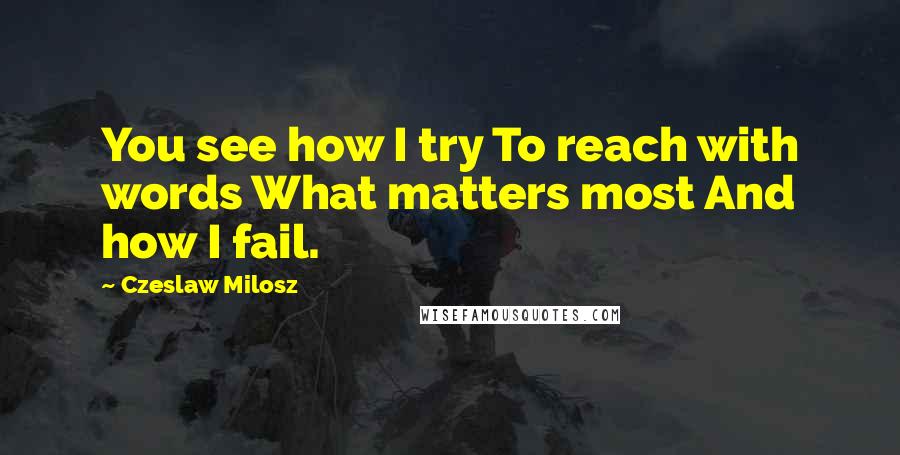 Czeslaw Milosz quotes: You see how I try To reach with words What matters most And how I fail.