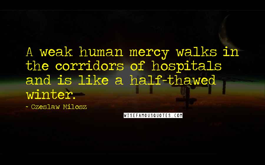 Czeslaw Milosz quotes: A weak human mercy walks in the corridors of hospitals and is like a half-thawed winter.