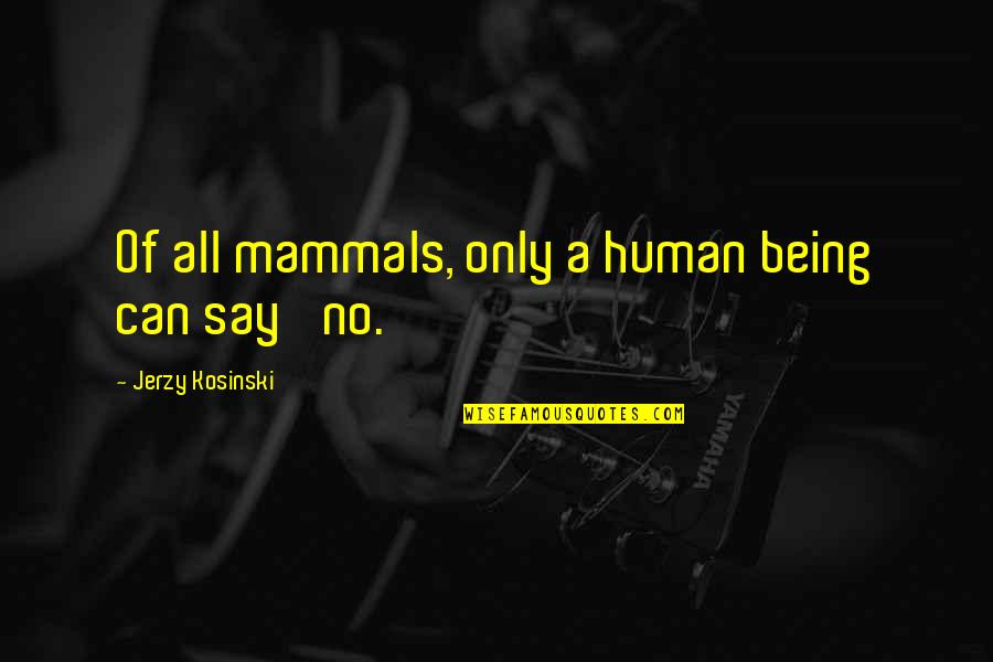 Czlowiek Renesansu Quotes By Jerzy Kosinski: Of all mammals, only a human being can Czlowiek Renesansu Quotes By Jerzy Kosinski: Of all mammals, only a human being can