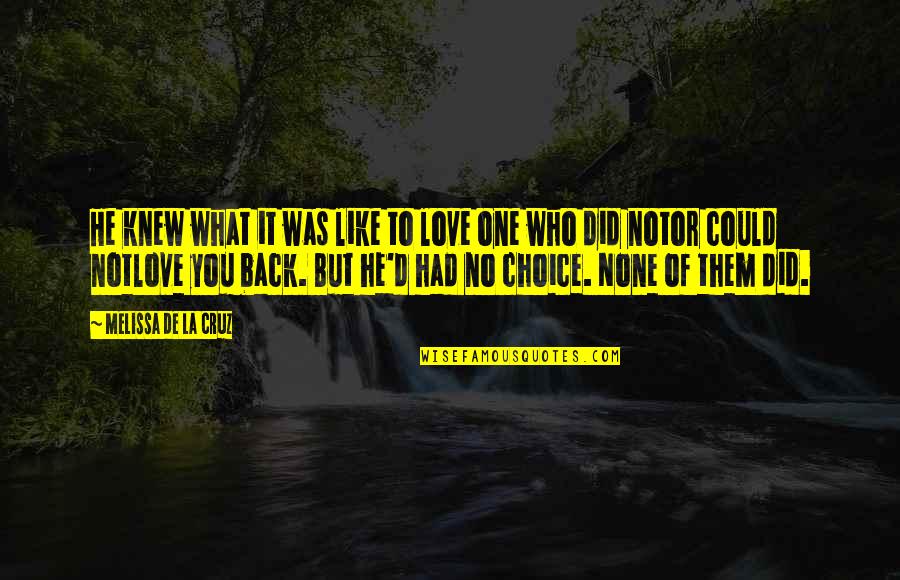 D Cruz Quotes By Melissa De La Cruz: He knew what it was like to love