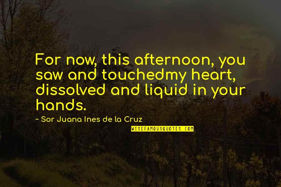 D Cruz Quotes By Sor Juana Ines De La Cruz: For now, this afternoon, you saw and touchedmy