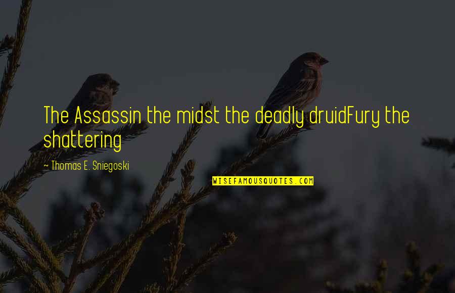 D&d Druid Quotes By Thomas E. Sniegoski: The Assassin the midst the deadly druidFury the