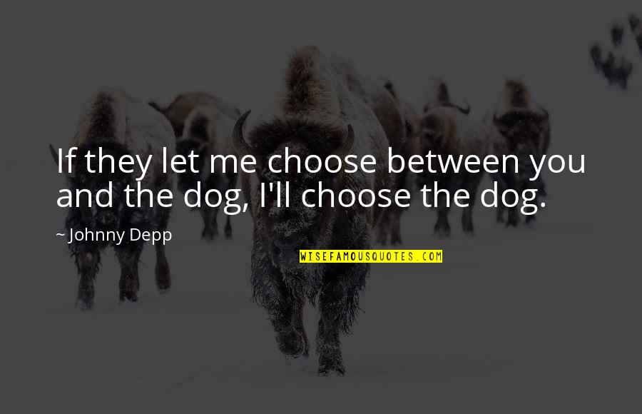 D F Malan Quotes By Johnny Depp: If they let me choose between you and