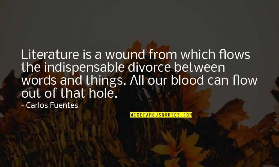D Gradations Du Rouge Quotes By Carlos Fuentes: Literature is a wound from which flows the