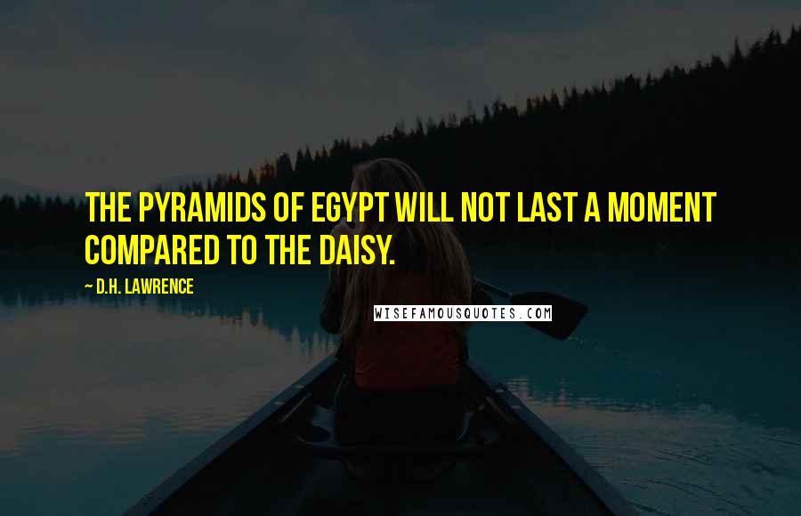 D.H. Lawrence quotes: The pyramids of Egypt will not last a moment compared to the daisy.