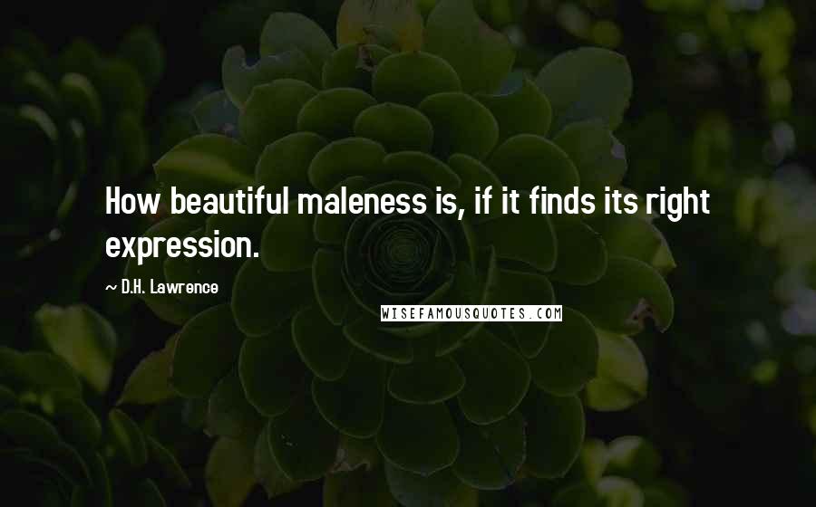 D.H. Lawrence quotes: How beautiful maleness is, if it finds its right expression.