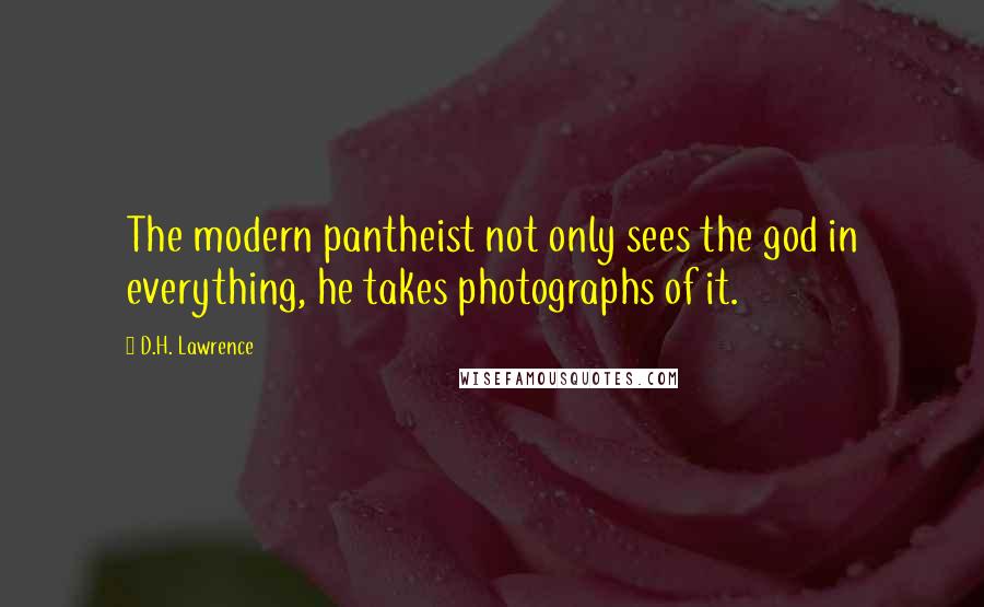D.H. Lawrence quotes: The modern pantheist not only sees the god in everything, he takes photographs of it.