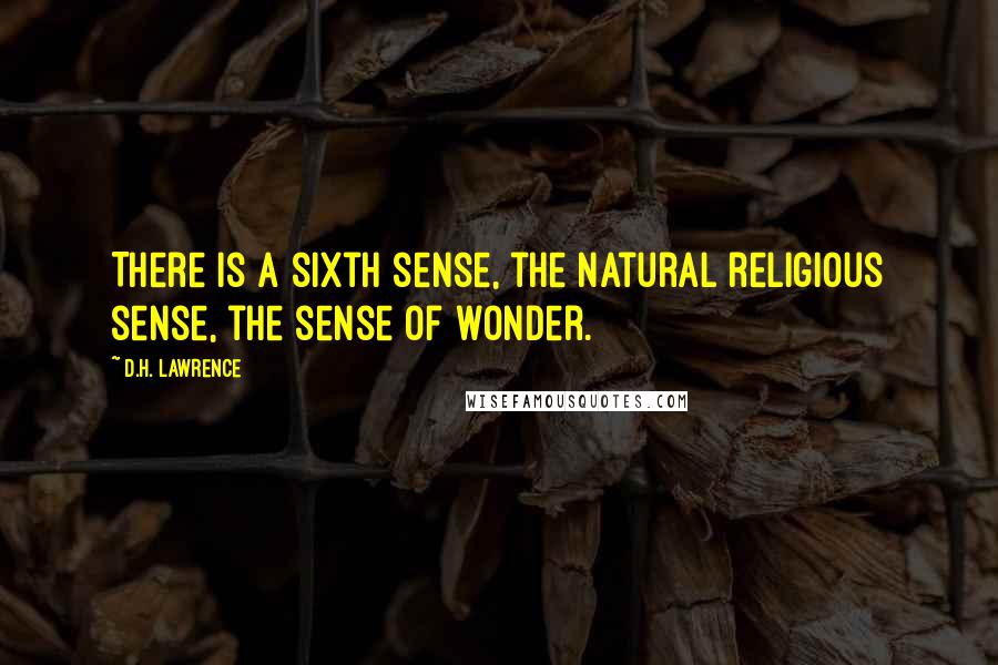 D.H. Lawrence quotes: There is a sixth sense, the natural religious sense, the sense of wonder.