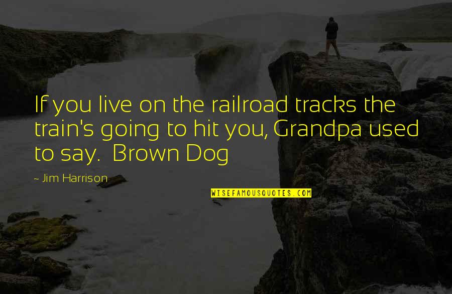 D H Railroad Quotes By Jim Harrison: If you live on the railroad tracks the