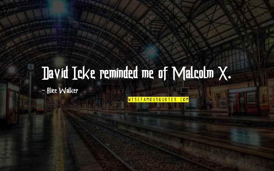 D Icke Quotes By Alice Walker: David Icke reminded me of Malcolm X.