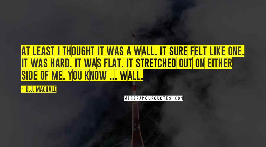 D.J. MacHale quotes: At least I thought it was a wall. It sure felt like one. It was hard. It was flat. It stretched out on either side of me. You know ... D.J. MacHale quotes: At least I thought it was a wall. It sure felt like one. It was hard. It was flat. It stretched out on either side of me. You know ...