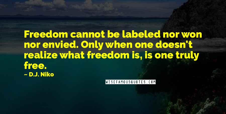 D.J. Niko quotes: Freedom cannot be labeled nor won nor envied. Only when one doesn't realize what freedom is, is one truly free.