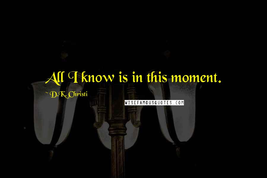 D.K. Christi quotes: All I know is in this moment.