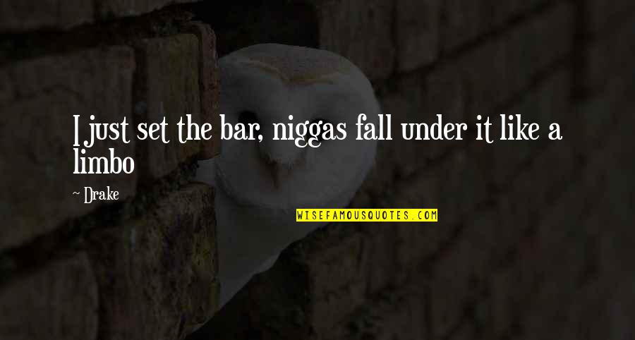 D.m Drake Quotes By Drake: I just set the bar, niggas fall under