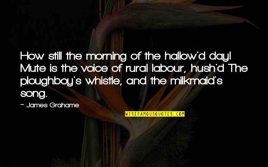 D Morning Quotes By James Grahame: How still the morning of the hallow'd day!