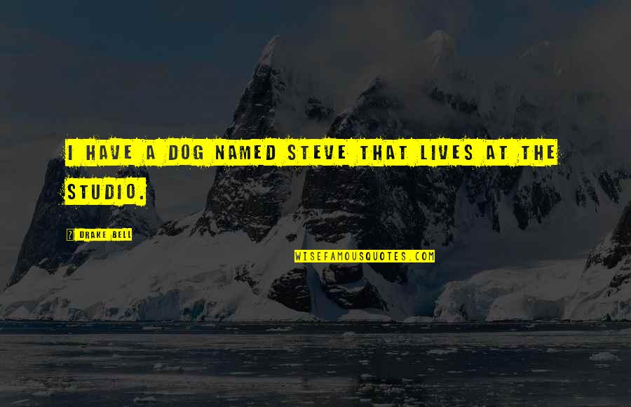 D.r Drake Quotes By Drake Bell: I have a dog named Steve that lives