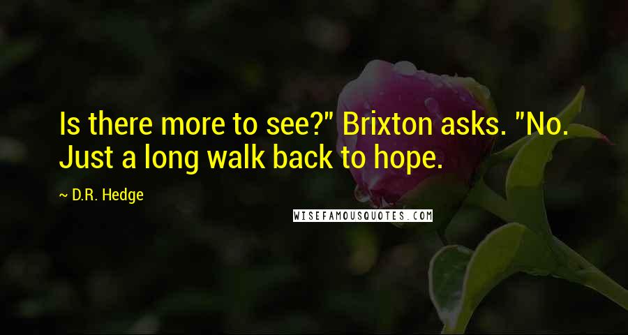 D.R. Hedge quotes: Is there more to see?" Brixton asks. "No. Just a long walk back to hope.