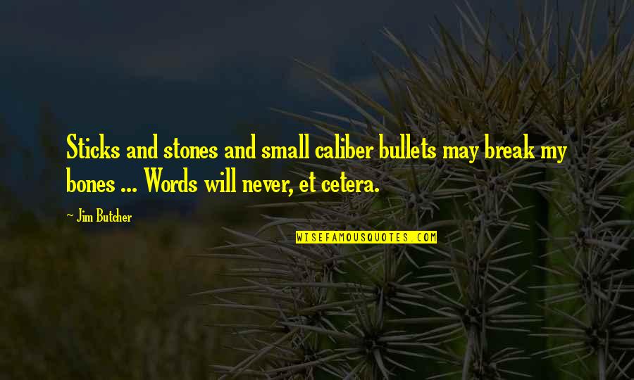 D8 A7 D9 82 D8 Aa D8 A8 D8 A7 D8 B3 D8 A7 D8 Aa Quotes By Jim Butcher: Sticks and stones and small caliber bullets may